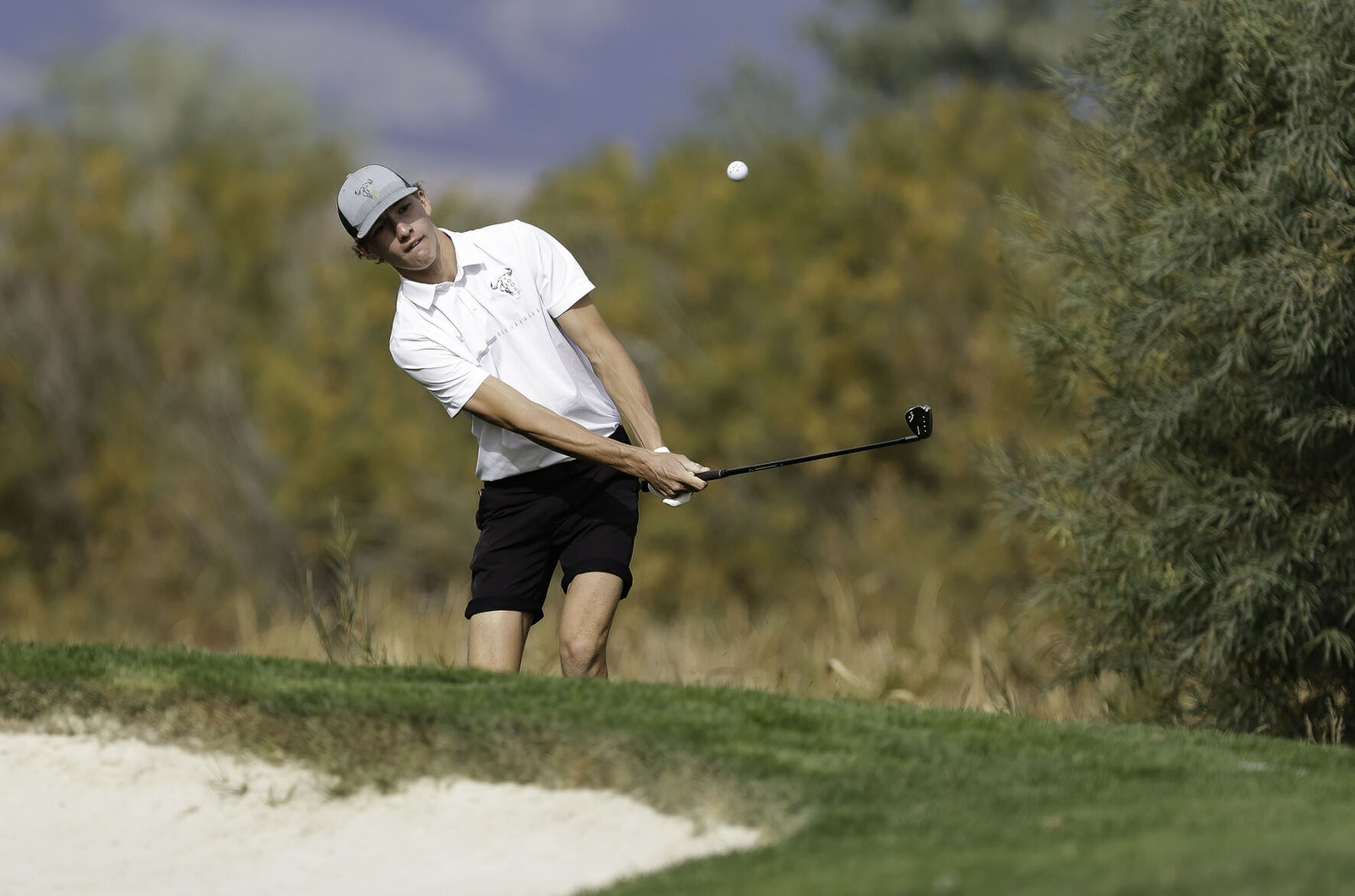 AA Golf Condition